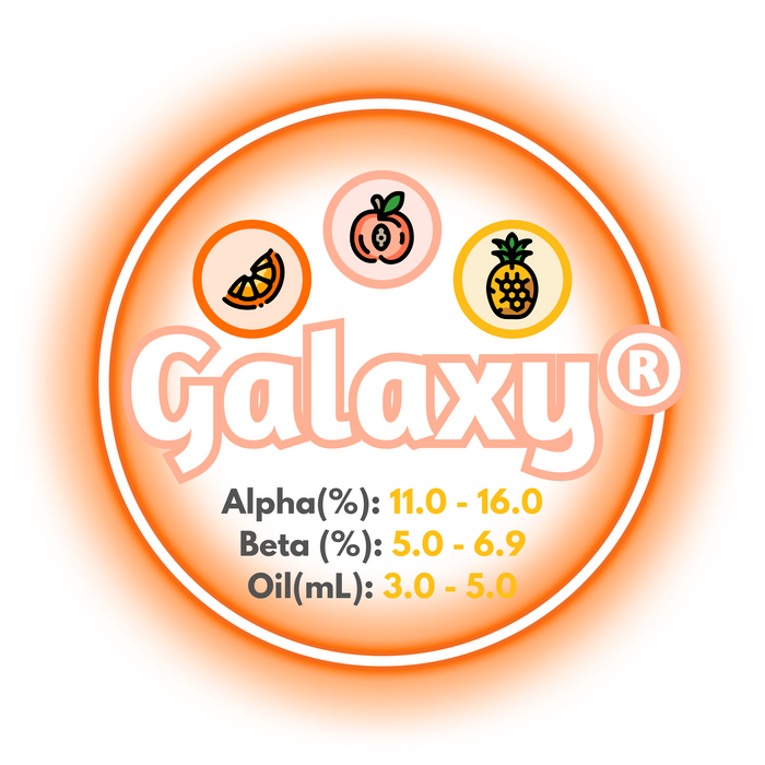 A graphic showing the brewing values of Galaxy® Hops, circled in orange on a white background.