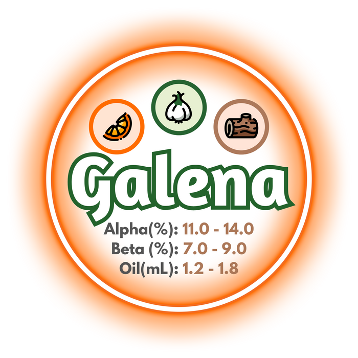 A graphic showing the brewing values of Canadian Grown Galena hops.