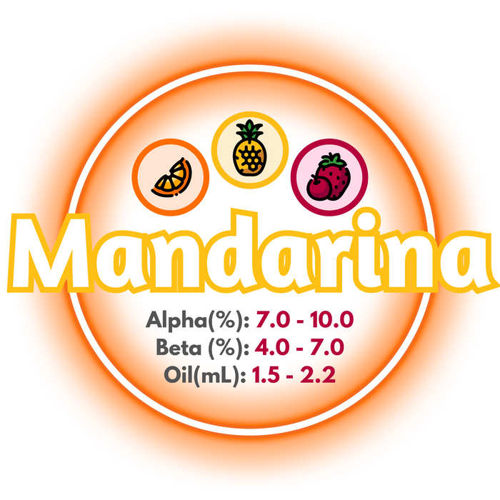 A graphic showing the brewing values of GR Mandarina Bavaria Hops, ringed in an orange circle on a white background.