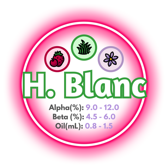 A graphic showing the brewing values of EU Hallertau Blanc Hops, ringed in a pinkish-red, on a white background.