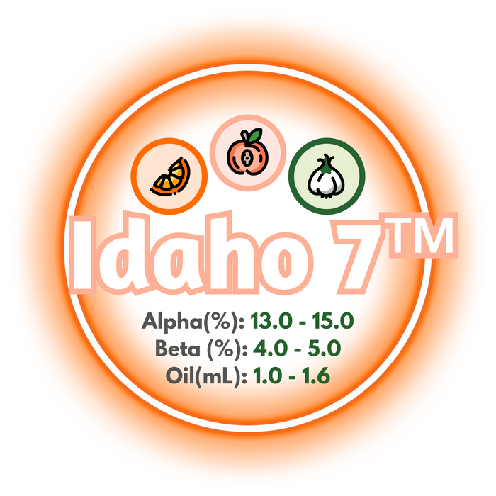 A graphic showing the brewing values of US Idaho 7™ Hops with an orange circle on a white background.