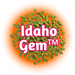 Packaging of US Idaho Gem™ Hops T90 Pellets with an orange and red background, showcasing green hop pellets and the brand name in bold lettering.