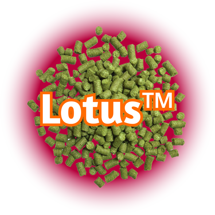 A close-up image of US Lotus™ Hops Pellets, which are small, greenish hop pellets with the brand name 'LOTUS' displayed in the centre against a red/pink background.