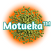 A close-up of NZ Motueka™ Hops T90 pellets hops, which are green in color, against an orange and white background with the 'Motueka TM' logo.