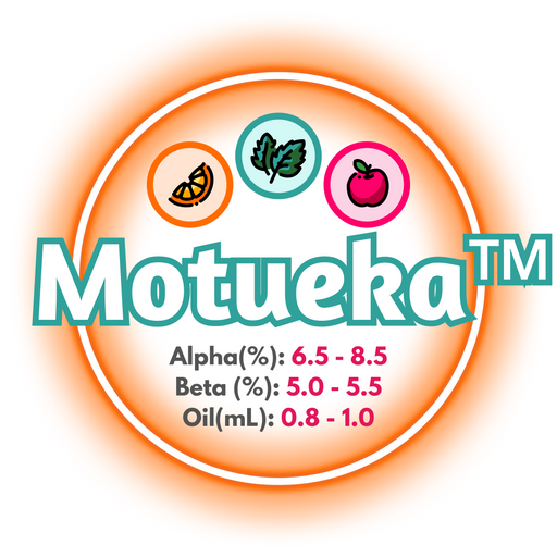 A graphic showing the brewing values of NZ Motueka™ Hops, circled in orange, on a white background.