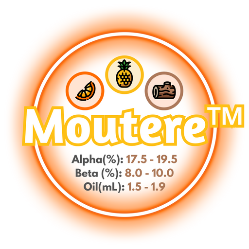 A graphic showing the brewing values of NZ Moutere™ Hops, ringed in orange on a white background.
