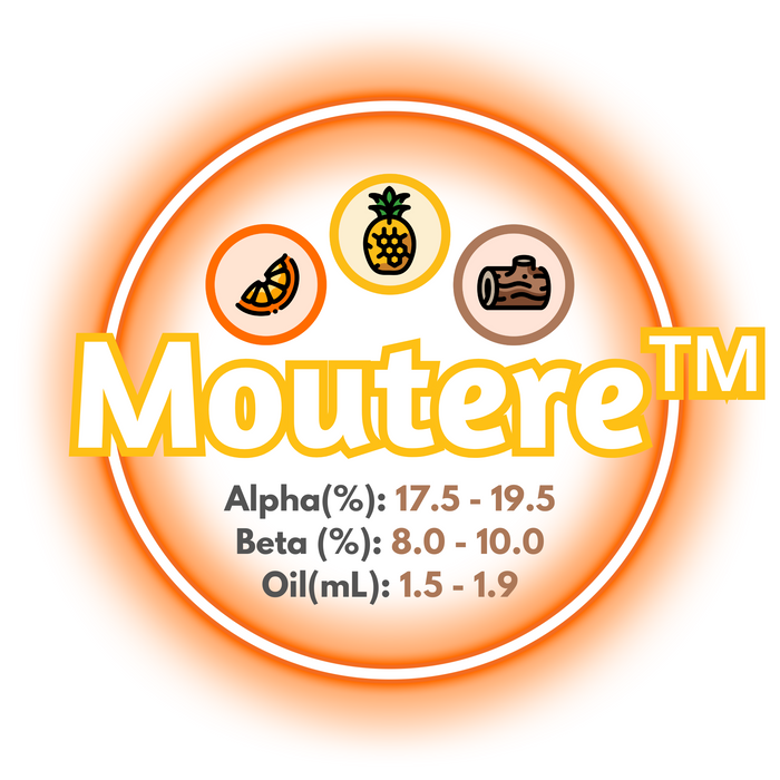 A graphic showing the brewing values of NZ Moutere™ Hops, ringed in orange on a white background.
