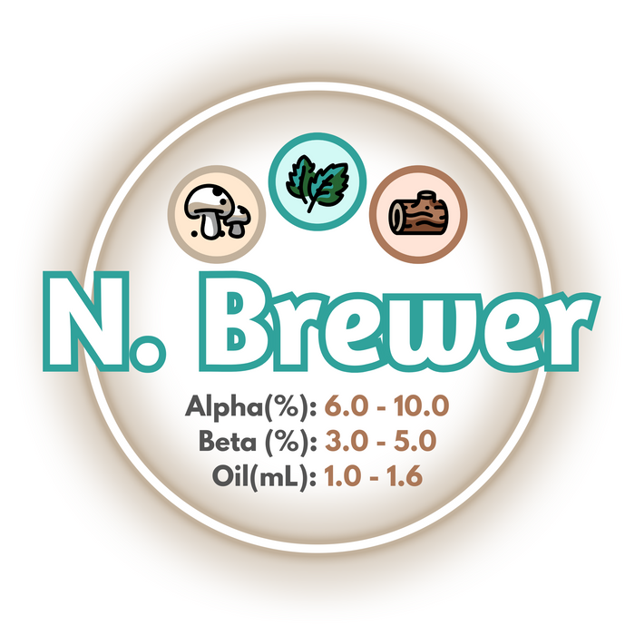 A graphic showing the brewing values of GR Northern Brewer Hops, ringed in a brown circle, on a white background.