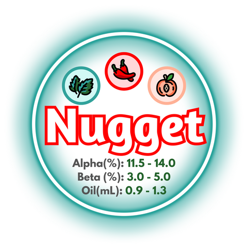 A graphic showing the brewing values of US Nugget Hops, in a circle of teal on a white background.