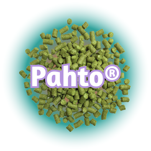 A close-up of green  US Pahto® hops with the 'Pahto' logo visible.
