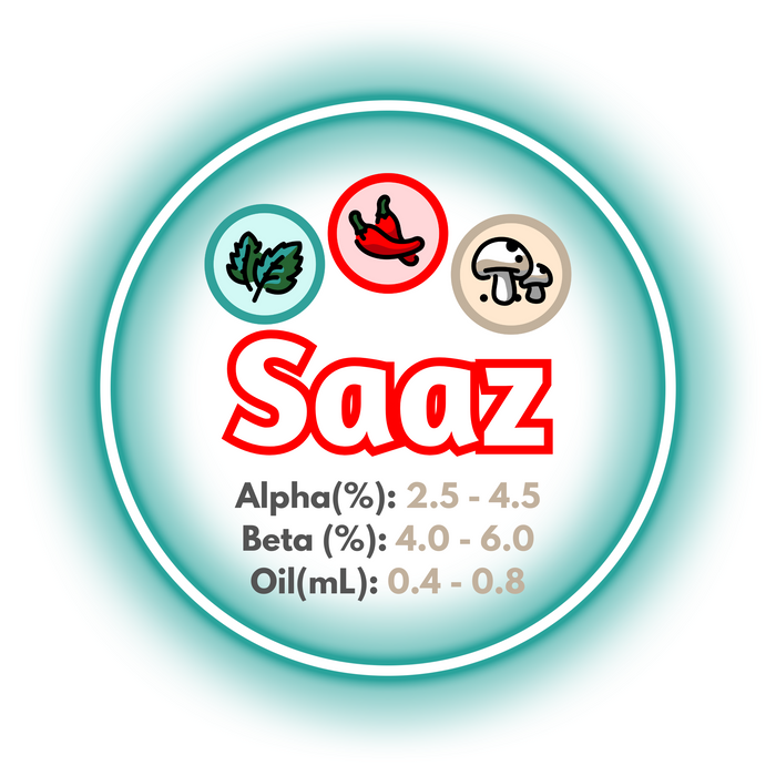 A graphic showing the brewing values of CZ Saaz Hops, circled in a teal ring on a white background.
