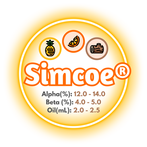 A graphic showing the brewing values of US Simcoe® Hops, circled in yellow on a white background.