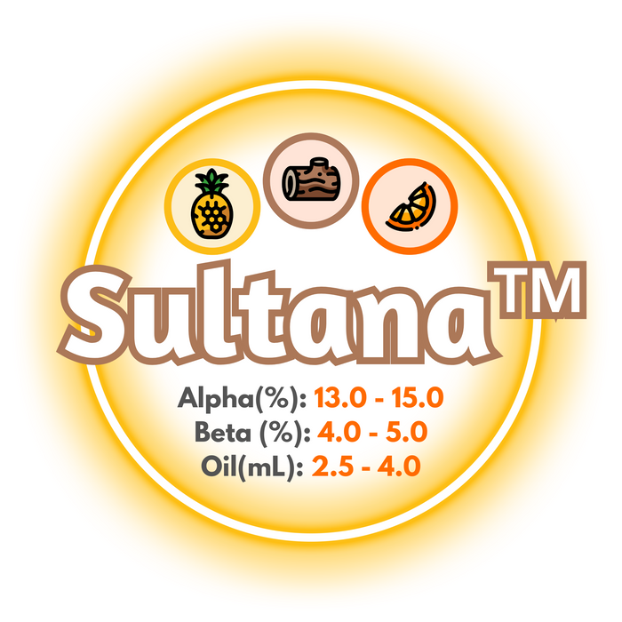 A graphic showing the brewing values of US Sultana™ Hops.