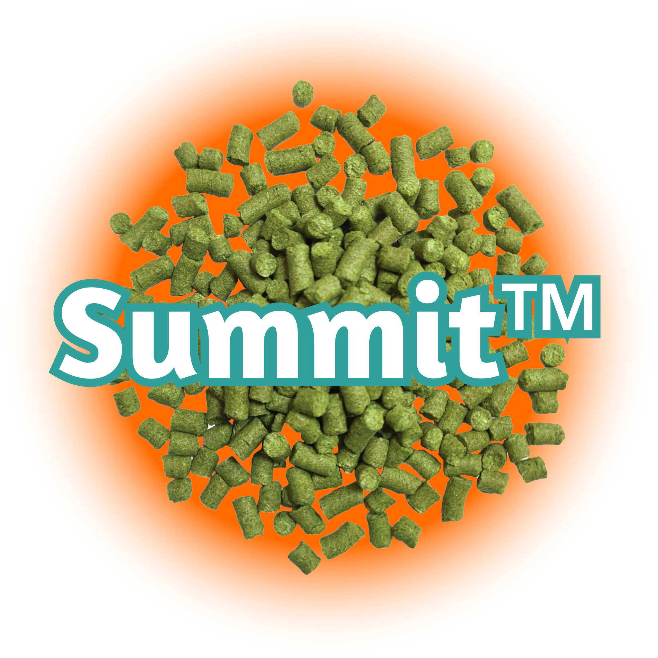US Summit™ Hops - Topp's Hops