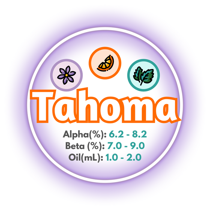 A graphic showing the brewing values of Canadian Grown Tahoma Hops circled in purple, on a white background.