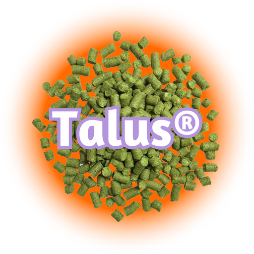 A pile of green US Summit™ Hops pellets with the Talus logo visible on the packaging against an orange background.