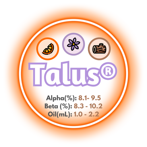 A graphic showing the brewing values of US Summit™ Hops, circled in an orange ring, on a white background.