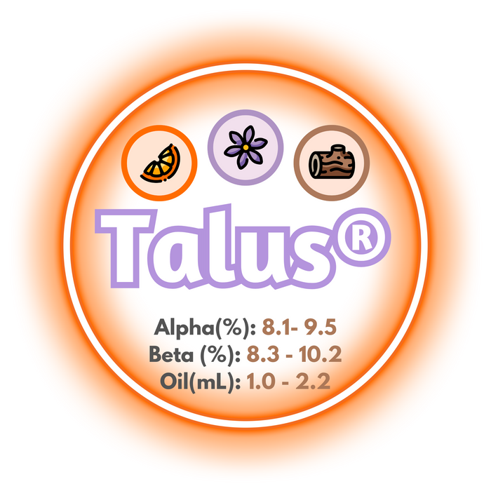 A graphic showing the brewing values of US Summit™ Hops, circled in an orange ring, on a white background.