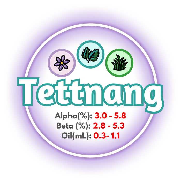 A graphic showing the brewing values of GR Tettnang Hops, circled in purple on a white background.