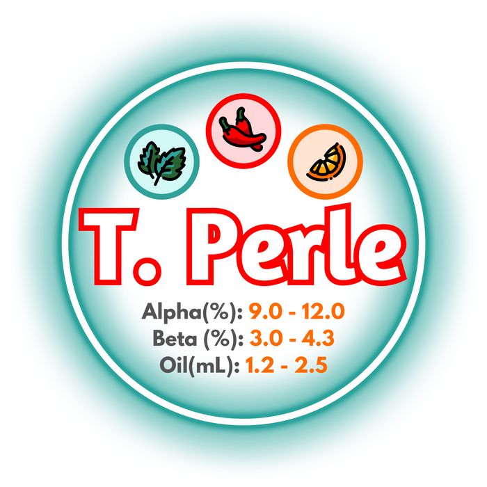 A graphic showing the brewing values of Canadian Grown Triple Perle hops, circled in teal, on a white background.