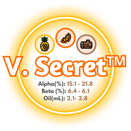 A graphic showing the brewing values of AU Vic Secret™ Hops , circled in a light orange on a white background.