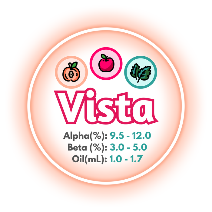 A graphic showing the brewing values of Canadian Grown Vista hops surrounded by a peach ring.