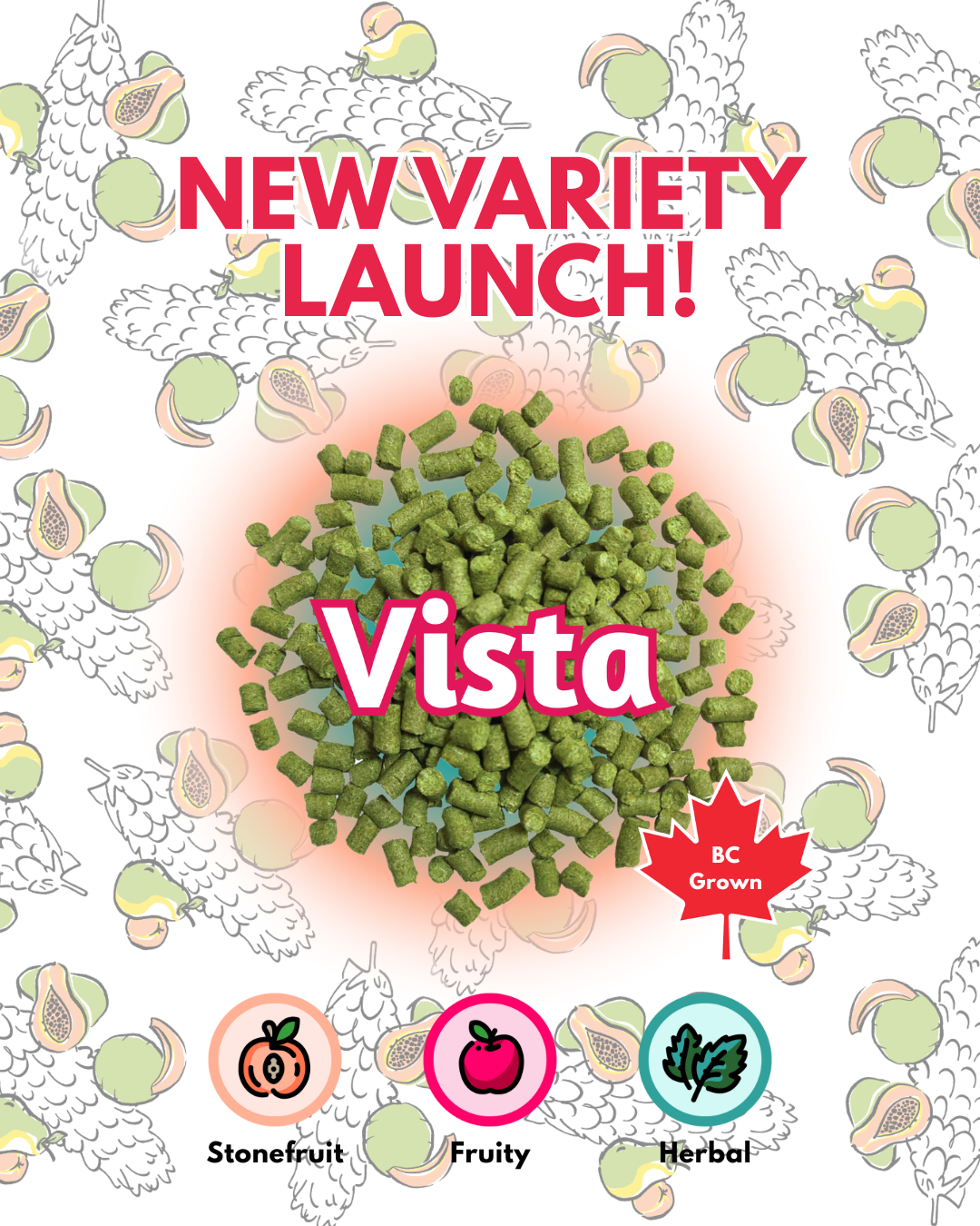 Where Bright Meets Bold