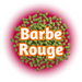 A close-up of EU Barbe Rouge hops with the text 'Barbe Rouge' overlaid in the centre.