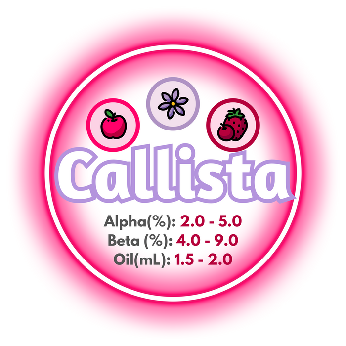 A graphic showing the brewing values of GR Callista hops circled in hot pink, with a white background.