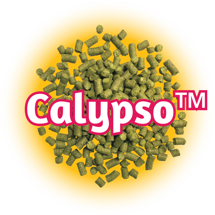 Green US Calypso™ Hops T90 pellets on top of yellow, with a white background.
