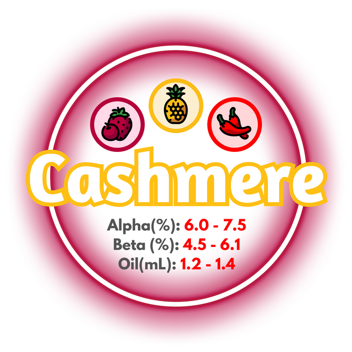 A graphic displaying the brewing values of Canadian Grown Cashmere hops.