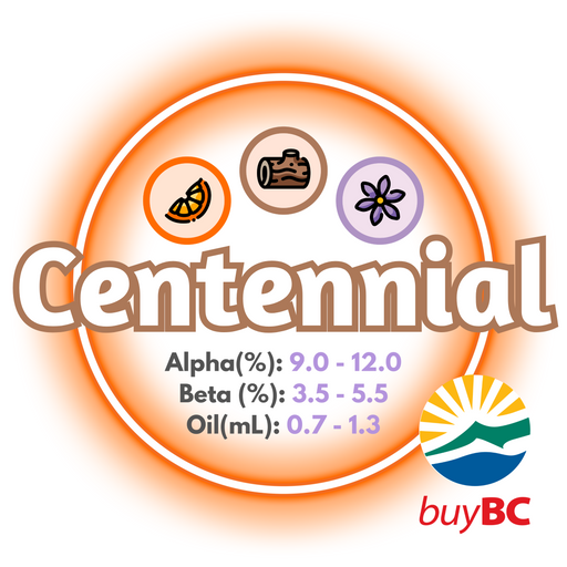 A graphic showing the brewing values of Canadian Grown Centennial Hops T90 pellets and a logo in the bottom right corner indicating the product is Buy BC certified. 