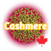 A graphic representation of Canadian Grown Cashmere Hops T90 Pellets with the name 'Cashmere' written across and a Canadian maple leaf symbol in the bottom right corner.
