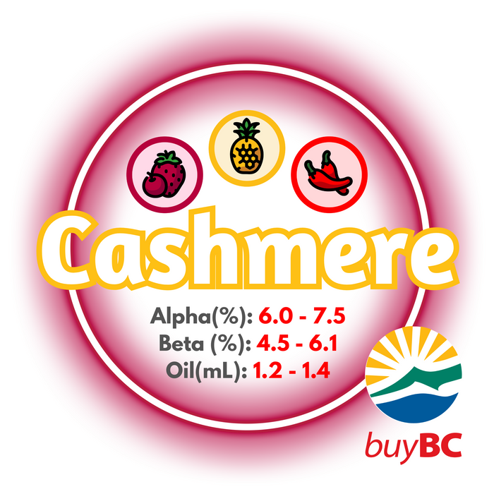 Canadian Grown Cashmere Hops image showcasing its brewing values with a logo image showing the product is Buy BC certified.