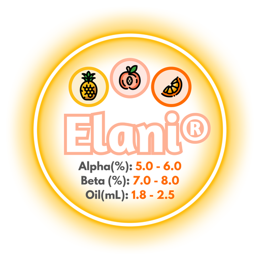 A graphic showing the brewing values of US Elani® Hops, ringed in yellow on a white background.