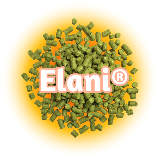 Green US Elani® Hops pellets with a yellow glow, with a white background.