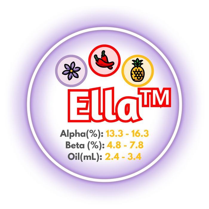 A graphic of the brewing values of Ella™ Hops, surrounded by a ring of lavender on a white background.