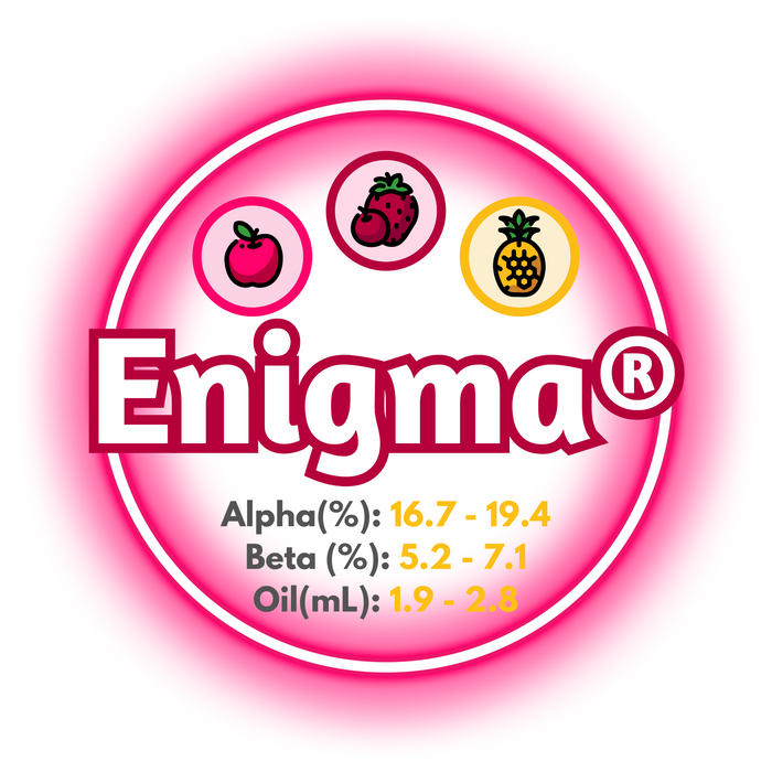 A graphic showing the brewing values of Enigma® Hops, surrounded by a red-pink ring, on a white background.