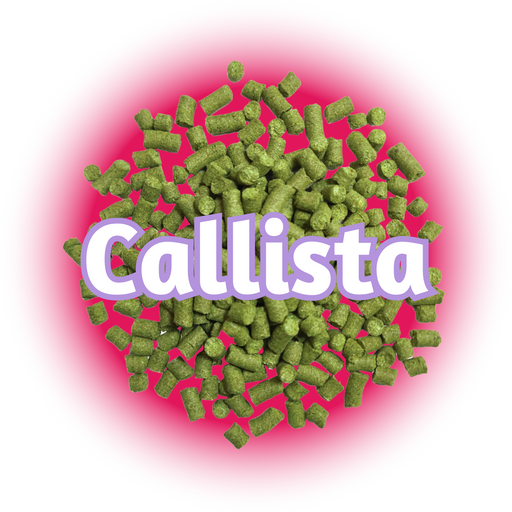 Green GR Callista hops on a bed of pink, with a white background.