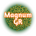 A pile of GR Magnum Hops pellets on a bed of green, with the name outlined in orange on a white background.