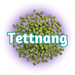 A pile of green GR Tettnang Hops T90 pellets with the word 'Tettnang' overlayed on top against a purple background.