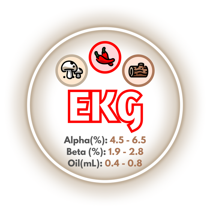 A graphic showing the brewing values of EU Golding EKG Hops, circled in grey on a white background.