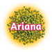 An image of GR Ariana Hops T90 pellets, with the name highlighted in red, on a background of yellow and white.