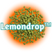 A pile of green US Lemondrop™ Hops T90 pellets with the brand name 'Lemondrop' prominently displayed in the centre.