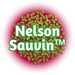 Green NZ Nelson Sauvin™ Hops T90 pellets on a pinkish, purple disc with the 'TM' name outlined in green on a white background.