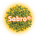 A close-up of US Sabro® Hops T90  pellets, which are green in colour and display the brand logo 'Sabro®' prominently.